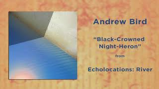 Andrew Bird - Black Crowned Night Heron | Echolocations: River | 2017 | HQ AUDIO