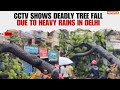 LIVE: Tree Falls Amid Heavy Rain in Delhi’s Kalkaji; NewsX Obtains Exclusive CCTV Footage