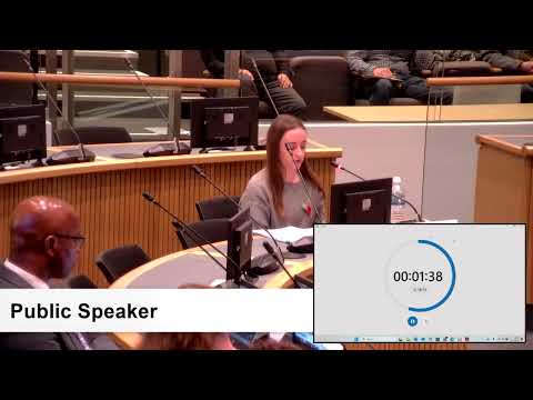 Thurrock Council - Planning Committee, 11/11/2025