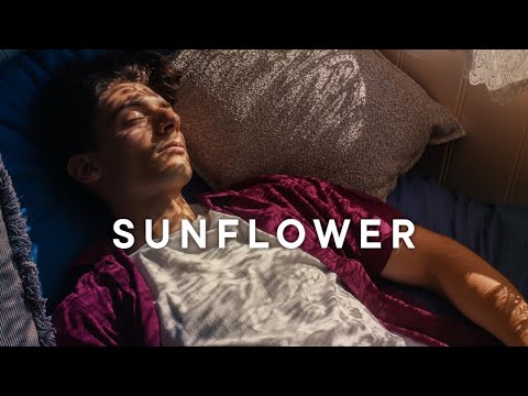 Trailer-Vorschau: Sunflower
