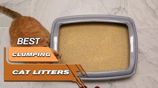 Top 5 Best Clumping Cat Litters Review in 2023 - On The Mark