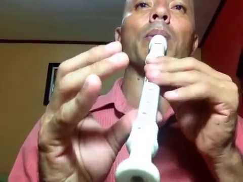 Notas para flauta (ES): marzo 2016