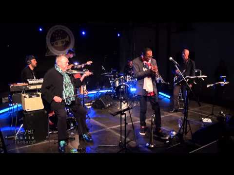 Michael Patches Stewart "Kattorna" - Geyer Music Factory