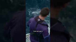 Download lagu Robert Irwin Battles Crocodile & Shark Bites | Shark Week #shorts mp3