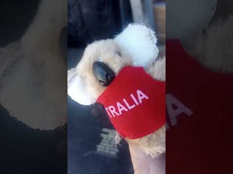 A Couple Of Pleasant Surprises 😊