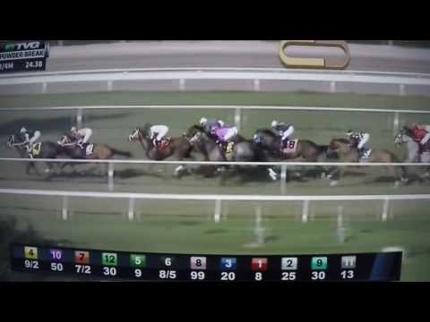 POWDER BREAK S. G STAKES $100.000 2017- CALLI THIRTY SEVEN !!!