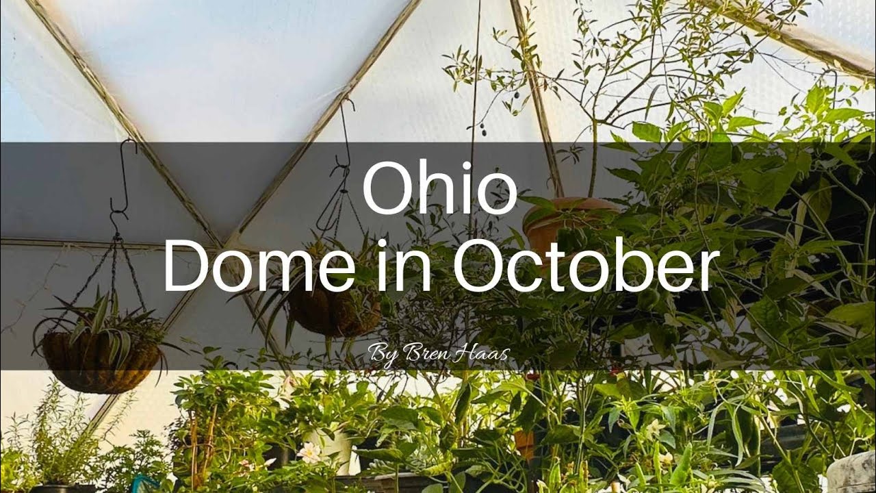 Ohio Dome in October Update