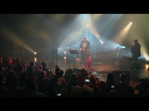 Les tartines Sttellla Grabalive