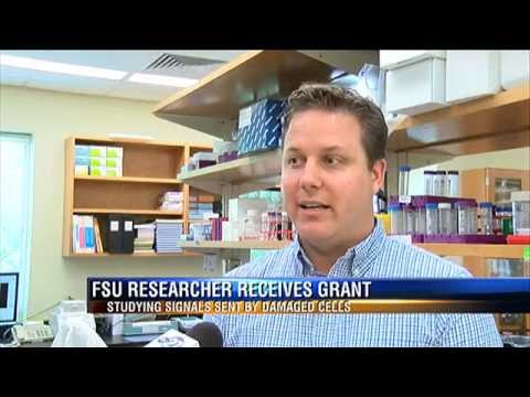 Meckes receives $1.7 million NIH grant (WTXL)