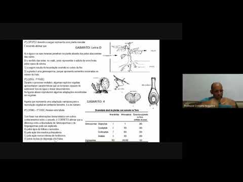 8ª aula -Resolução Exercícios -Briófitas, Pteridófitas,Gimnospermas e Angiospermas.Prof.Ms.Cristiano