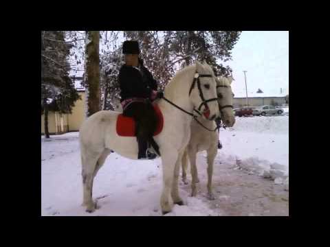 Slavonske Lole- Busarac