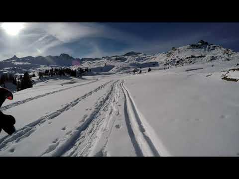 Skialp Flumserberg Schweiz - Alp Fursch -  Maschgenkamm 2020m 9.1.2021