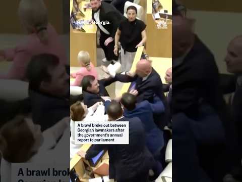 Punches thrown as Georgia lawmakers brawl in parliament