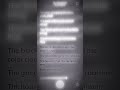 No 1 Party Anthem Arctic Monkeys Spotify Lyrics Music Audio Lyrics