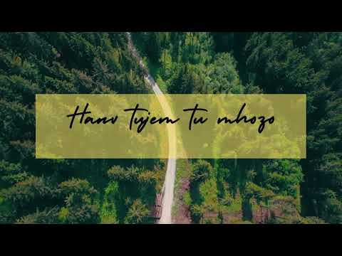Hanv Tujem tu mhozo | Hanv Tuzo Tu Mhoje | Konkani Song [lyrics]| Cover by Louis Dias