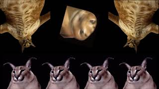 Cover art for FLOPPA RAVE!!!!