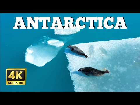 Antarctica 4k HDR Drone Travel Cinematic film