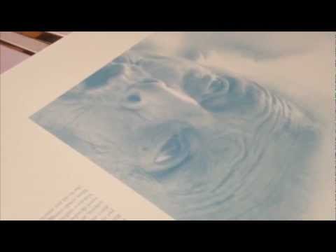 MAGNITUDO EMILIA - Lo sguardo sulle cose.