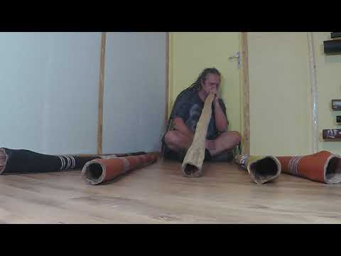 MT-Yidaki playing a Djalu' Gurruwiwi D-E yiḏaki / didgeridoo