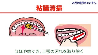 医療法人社団　スガタ歯科医院