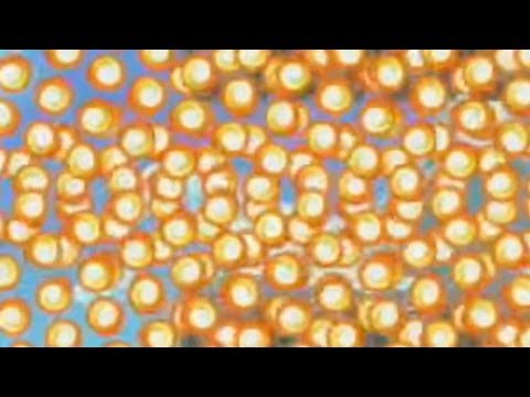 Recovered Smoke ~ Easy 100 Mario Challenge - Super Mario Maker - No Commentary 1bm