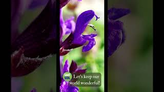 Save Soil: Let's keep our world WONDERFUL!