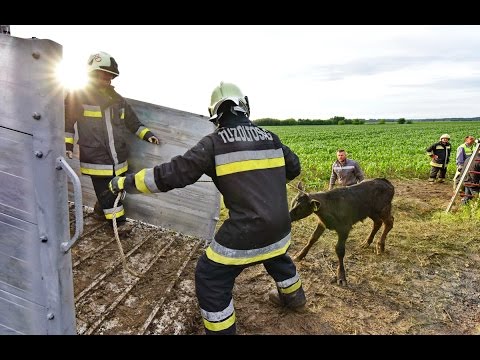 Kontraszt zuhany megelőzése visszerek