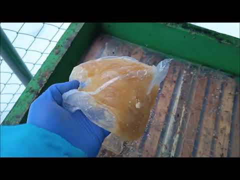 Přikrmuji slabé včely medem ve včelím úle přímo nad sedící zimní chomáš včel.