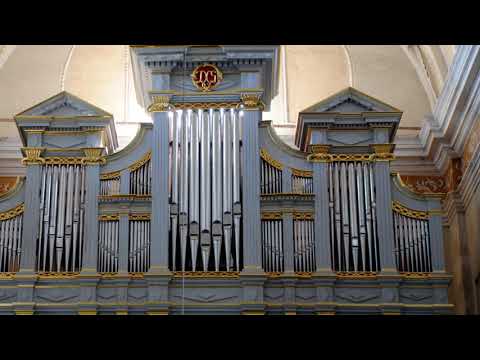 MUSICA SACRA Varnių  šv. Apaštalų Petro ir Pauliaus bažnyčioje. Jurgis Gaižauskas - Largo