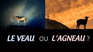 LE VEAU OU L'AGNEAU