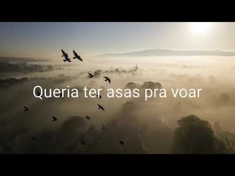 Queria Ter Asas Pra Voar- Kaitlyn Oliveira