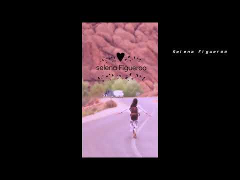 un largo viaje - Marcela gandara