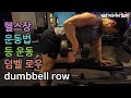 덤벨 로우(dumbbell row), 덤벨운동, 등운동, 넓은등만들기, 운동, 헬스장 운동 [건디ROY]