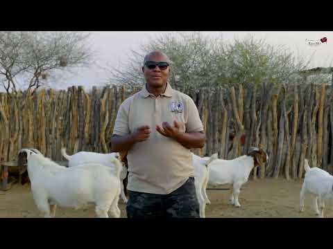 How to Start a farm from Scratch (Beginner's Guide)