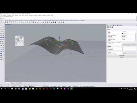 Rhinoceros #11 - Curve NEW!