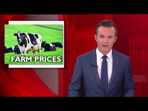 PRIME7 News Border 04-10-2017