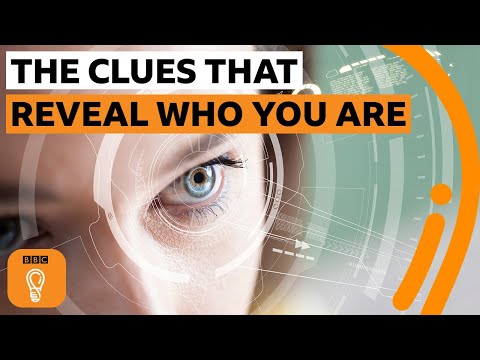 揭示你是誰的隱藏線索｜BBC創意 (The hidden clues that reveal who you are | BBC Ideas)