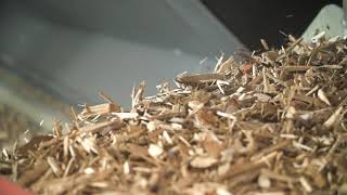 Waste wood recycling - sorting & purification – TOMRA X-TRACT