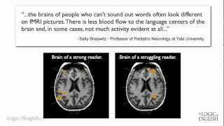 Reading & Spelling Teacher Training Section 9 #logicofenglish #scienceofreading #reading #spelling