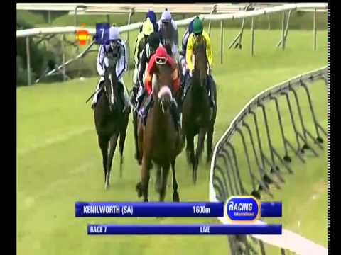 2014.05.04 Winter Guineas - Power King