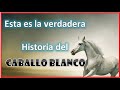La verdadera historia del caballo blanco