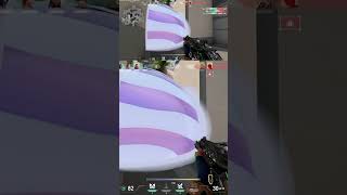 あれ、今何か見えたような…ｲ､ｲﾙｰ!!👀 | #VALORANT (#Twitch)