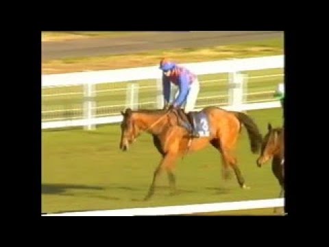 2006 Amlin 1965 Chase