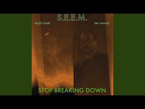 Stop Breaking Down (feat. Elliott Sharp & Eric Mingus)