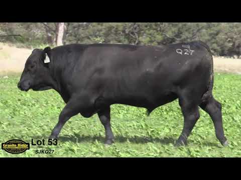 GRANITE RIDGE QUICKSILVER Q27