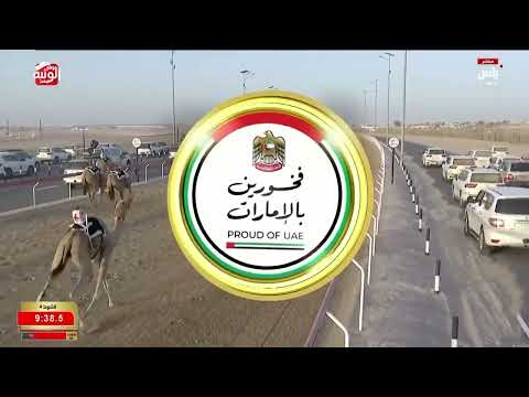 ش 4 شداد محليات (ثمين) سعيد جابر عبدالله الحربي 12:30:30 ، ختامي الوثبة 2026/05/15 ثنايا