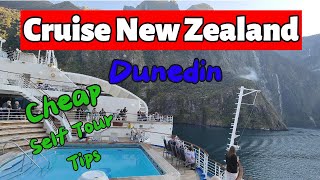 Is This New Zealand's Most Beautiful Cruise Stop?