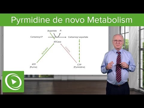 Pyrmidine de novo Metabolism: ATCase Reaction – Biochemistry | Lecturio