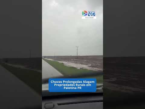 Chuvas intensas causam alagamentos e prejuízos na agricultura de Palotina PR