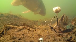 preview picture of video 'Underwater Fishing at Chase Lakes Dagenham (Bardag) 2015. Missed common carp'